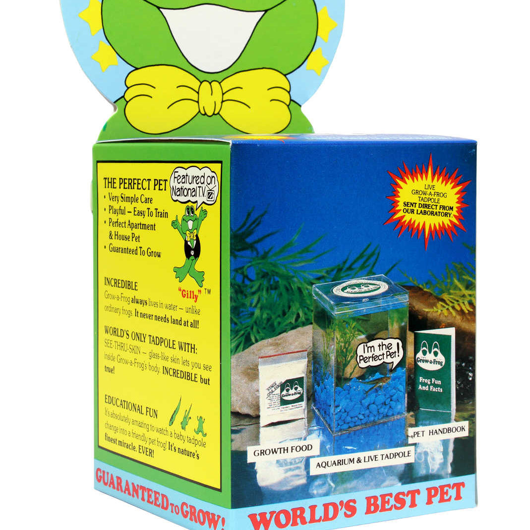 Grow-a-Frog Desk Kit