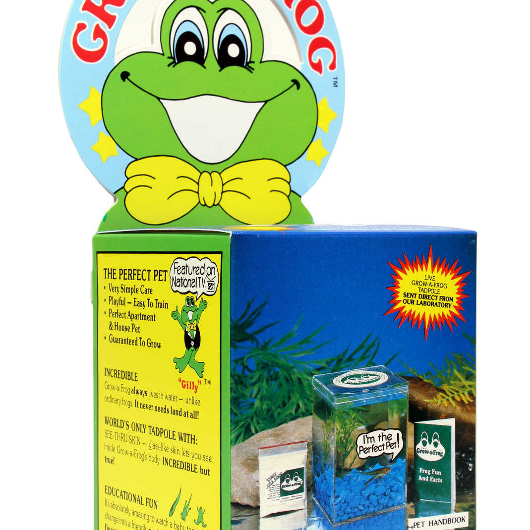 Grow-a-Frog Desk Kit