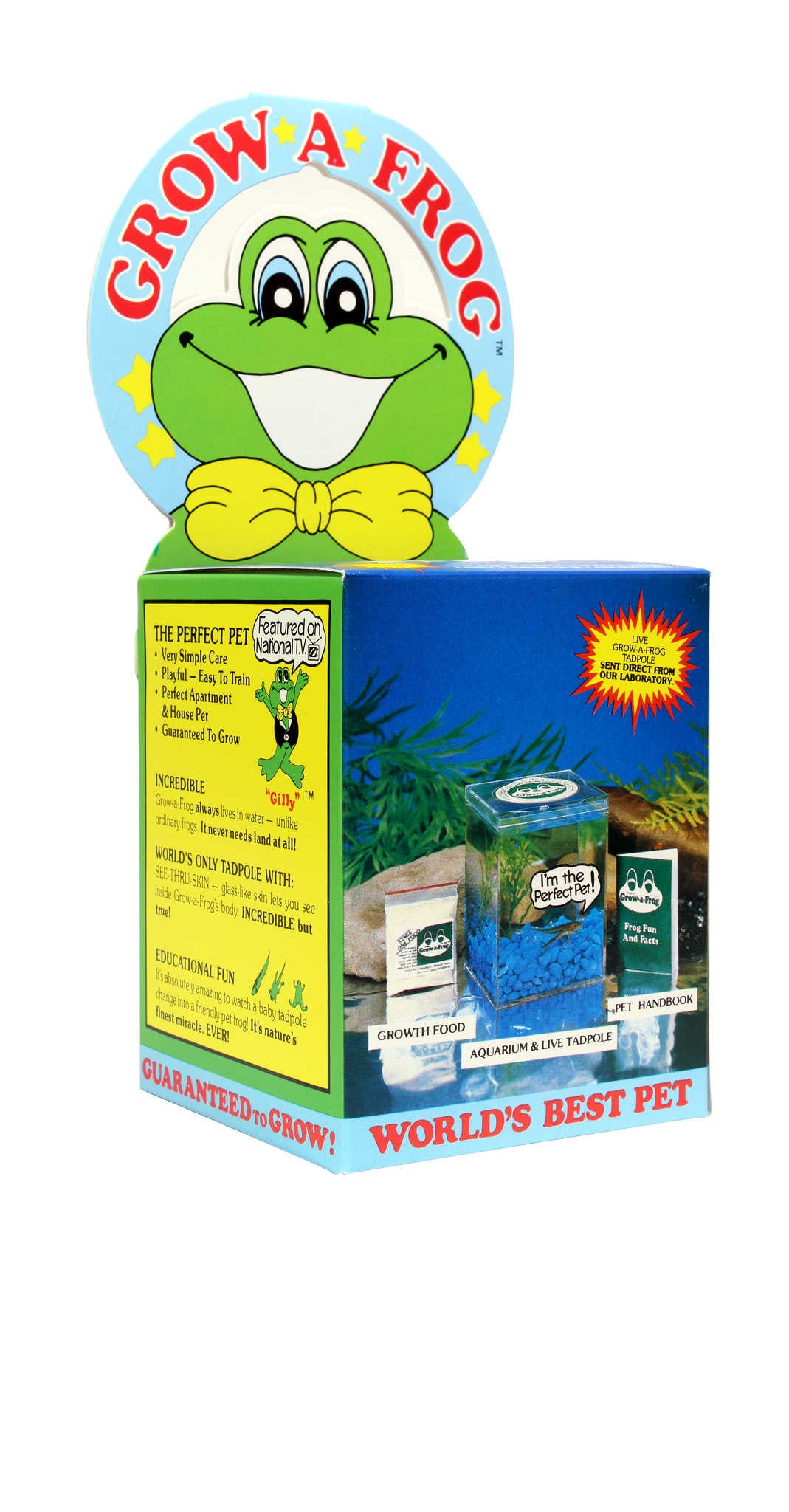 Grow-a-Frog Desk Pet Kit | Soxfords