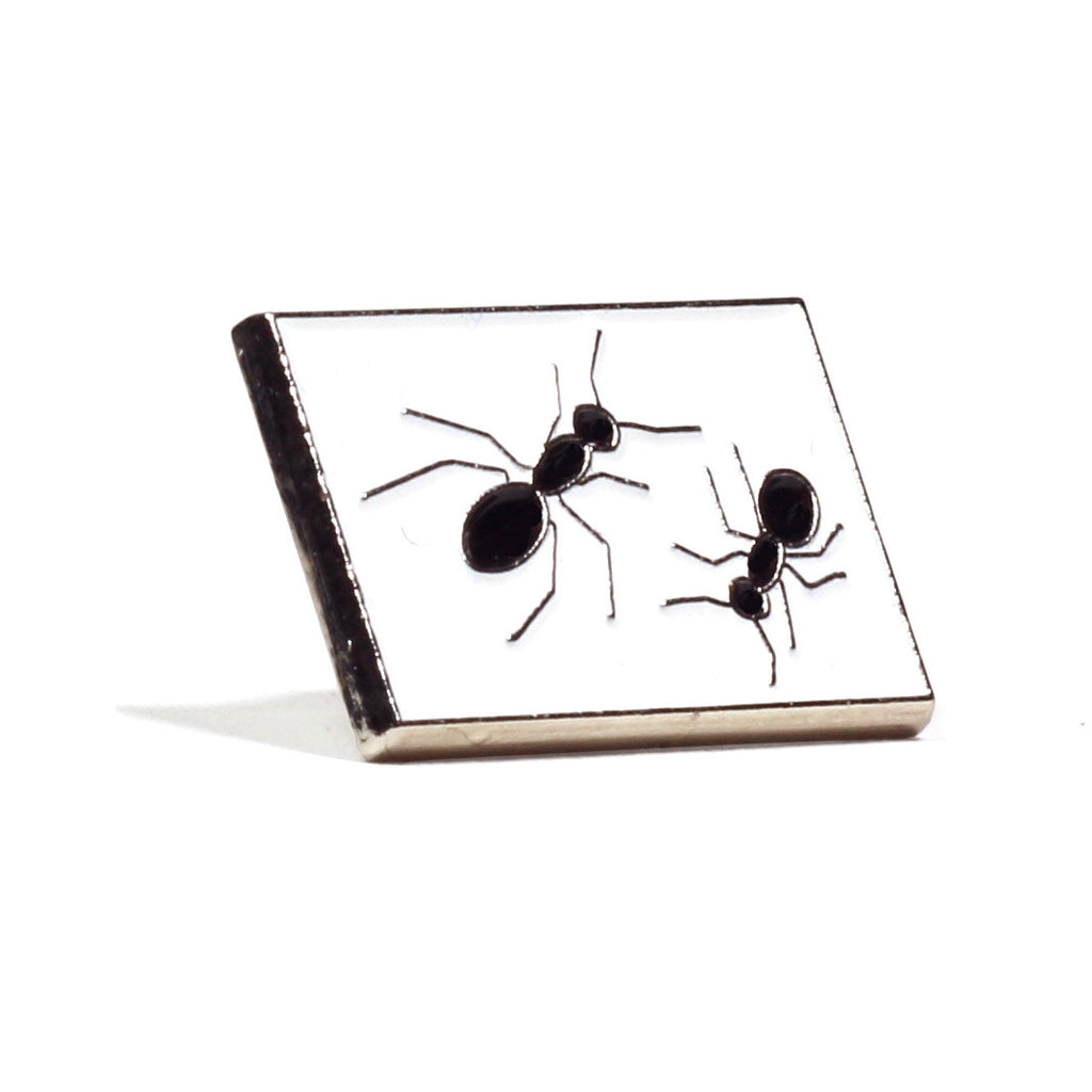 Ants!: Featured Product Image