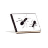 Ants!: Alternate Product Image #1