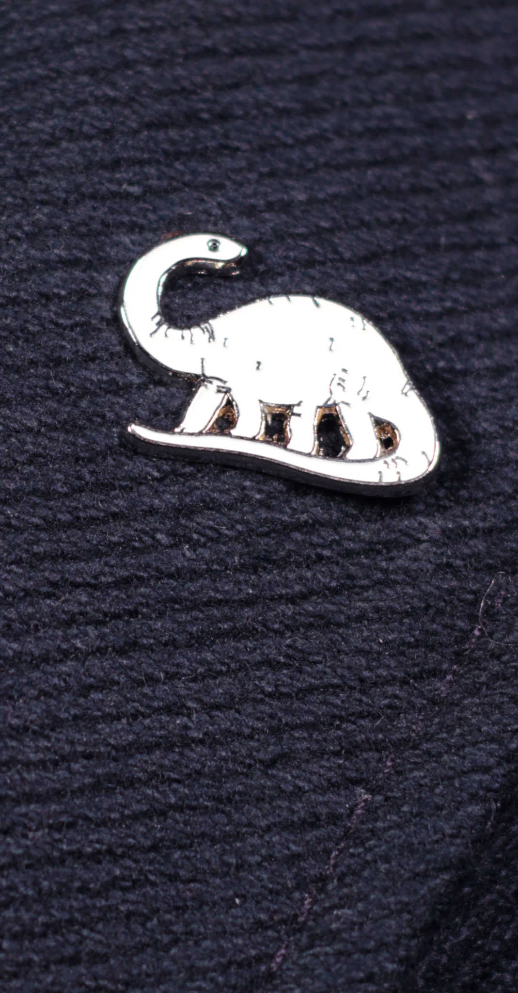 Dinosaur themed enamel pin