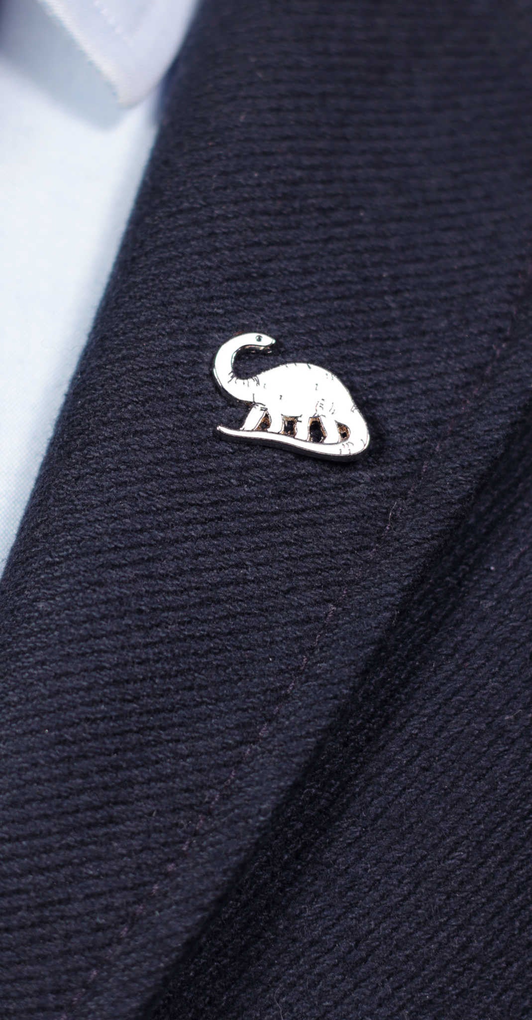 Dinosaur themed enamel pin